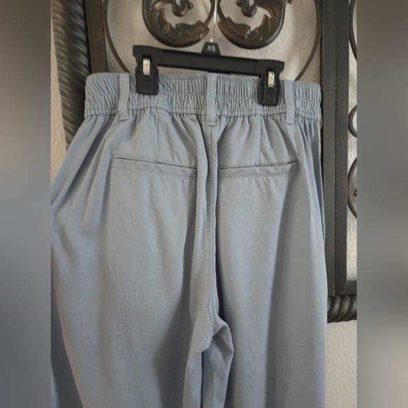 Madewell The Neale Wide-Leg Pleated Trousers In Color Overcast - Picture 8 of 8